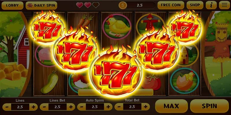 databet