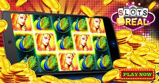 databet